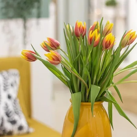 Airport Area With Free Parking Holiday home *